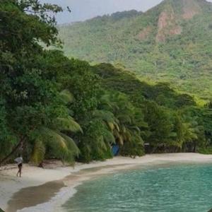 Check 2 Check + Bandoboy Ki