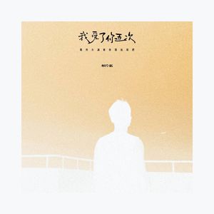 我爱了你五次 (我的真诚被你彻底践踏)