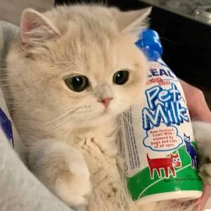 特别的人-cover方大同