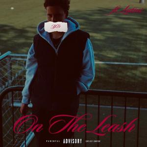 ON THE LEASH (feat. Lutini)