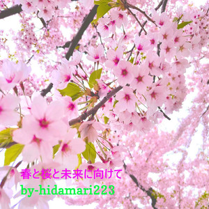 春と桜と未来に向けて