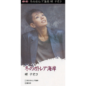 冬のカトレア海岸