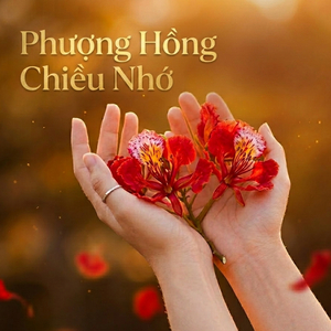 Phượng Hồng Chiều Nhớ