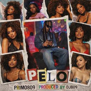 PELO (feat. Dj 809)