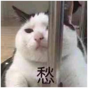 青灯（翻自 音阙诗听）