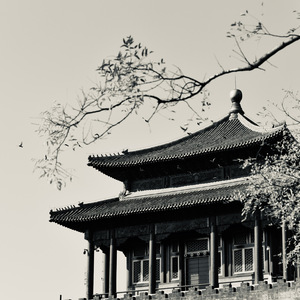 悬疑 悲伤 有迹可循