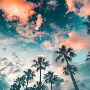 独行侠+爱如潮水