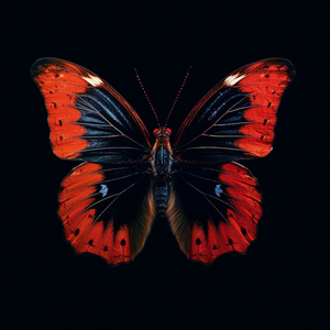 Love Me (Instrumental)