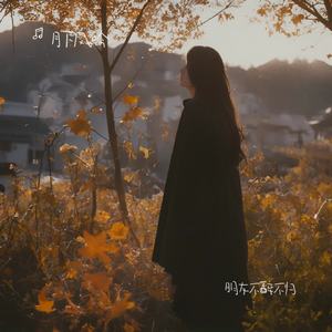 你说当你没来过