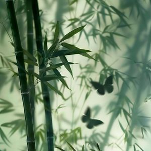 [Free] “竹影” 中国风 - Gunna Type Beat