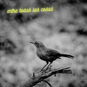 Entre todas las cosas