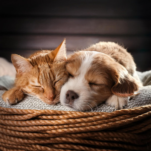 Capas Resonantes Suaves