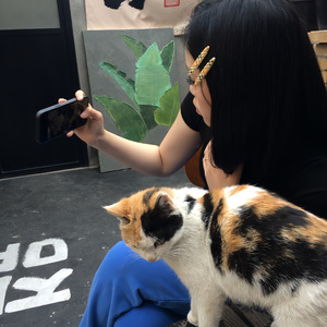选项之外