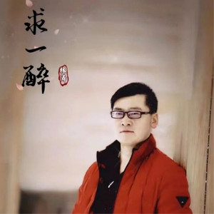 求一醉 (DJ默涵)