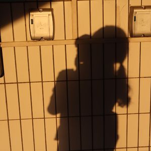 永不失联的爱(Live)