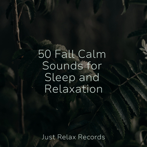 Melancholy Sunrise Musings