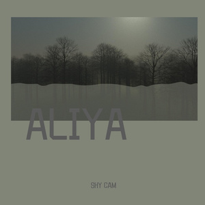 ALIYA(prod by ATTBEAT)