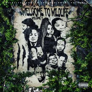 Wildlife Forever (feat. DeeLo)