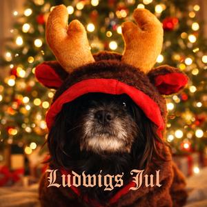 Ludwigs Jul
