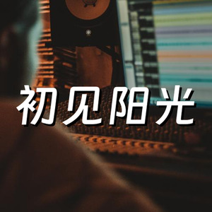 初见阳光企业