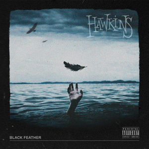 Black Feather