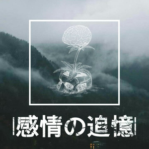 感情の追憶
