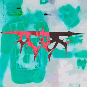 Kiwi！？=(Up-Fall)