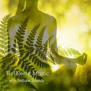 아침 바다 명상 (파도소리)