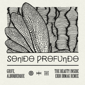 The Beauty Inside (Erdi Irmak Remix)