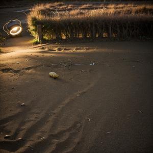 唱唐诗 夜归鹿门山歌