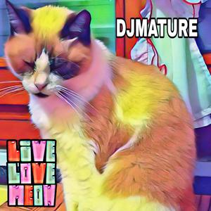 Live Love Meow