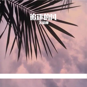 追逐的风