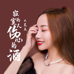 寂寞的人伤心的酒