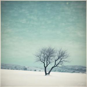 Снiг by @resourcefulcrossfader5600