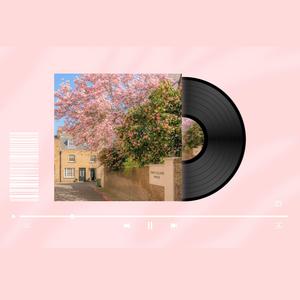 Soft Echoes of You