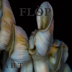 Flöp