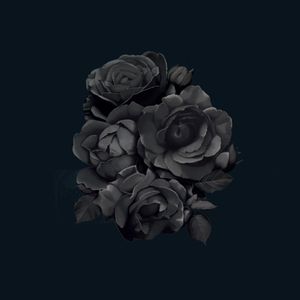 Absolute (Secret Cinema Remix)