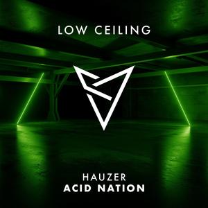 ACID NATION