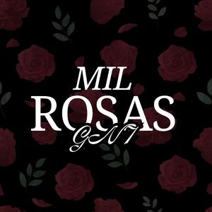 MIL ROSAS