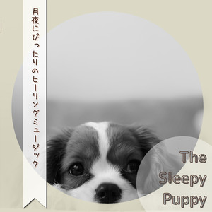 Tranquil Voyage Through Night Skies