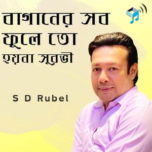 Ami Vebechilam Ki Ei Ronger Din