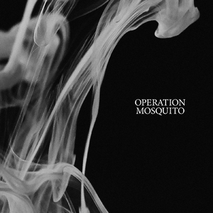 Operation Mosquito