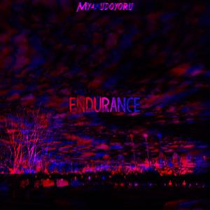 Endurance