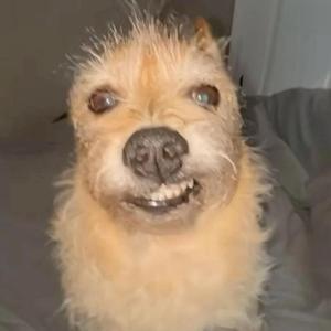 money maker (feat. 318Mr.Humble)