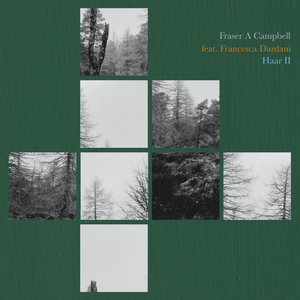 Haar 15