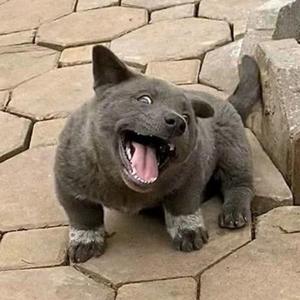 醒着醉（翻唱）