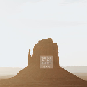 我最无能为力的就是会忘记(2017)