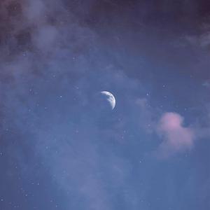 我想我会一直陪在你的身边