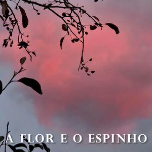 A Flor e o Espinho