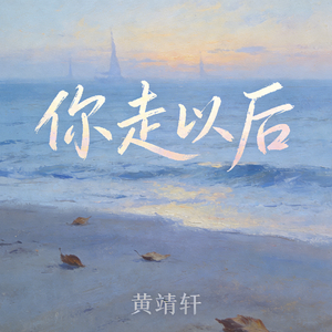 你走以后